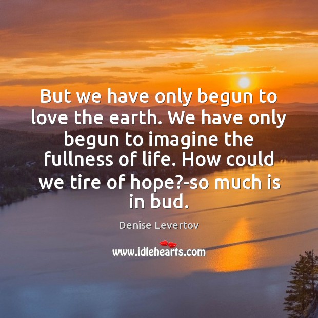 But we have only begun to love the earth. We have only 