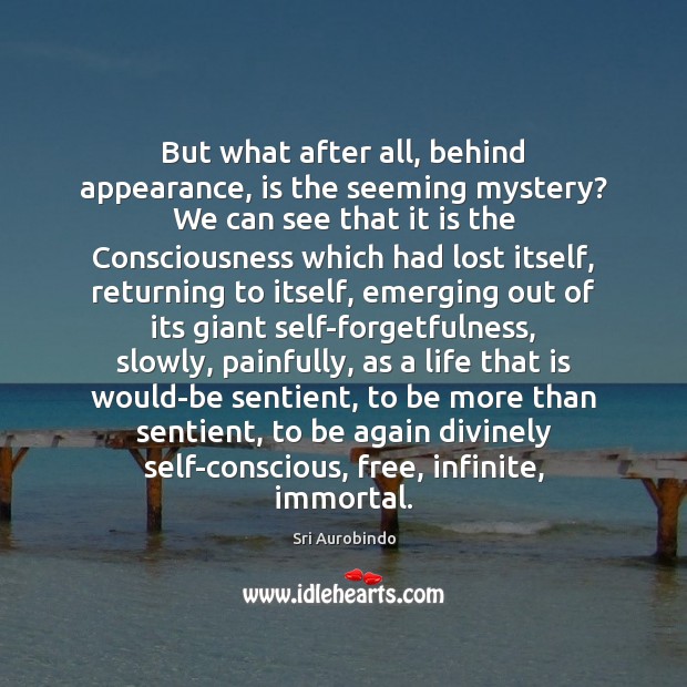 But what after all, behind appearance, is the seeming mystery? We can Sri Aurobindo Picture Quote