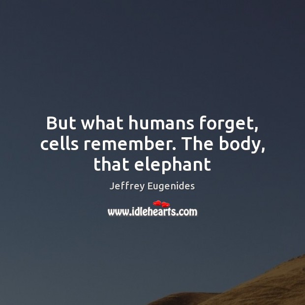 But what humans forget, cells remember. The body, that elephant Jeffrey Eugenides Picture Quote