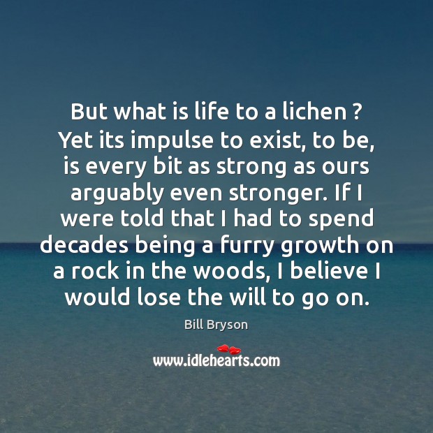 But what is life to a lichen ? Yet its impulse to exist, Bill Bryson Picture Quote