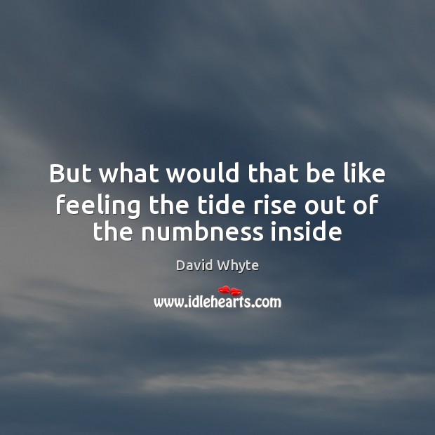 But what would that be like feeling the tide rise out of the numbness inside David Whyte Picture Quote