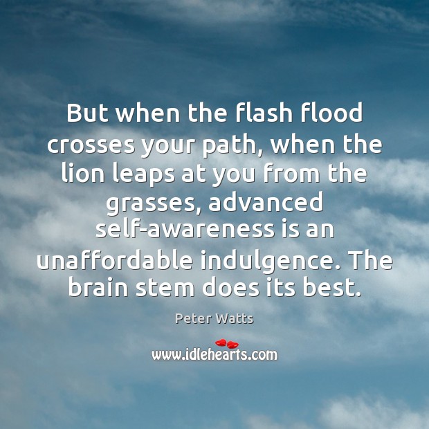 But when the flash flood crosses your path, when the lion leaps Peter Watts Picture Quote