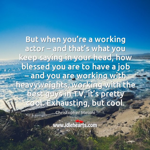 But when you’re a working actor – and that’s what you keep saying in your head Christopher Meloni Picture Quote