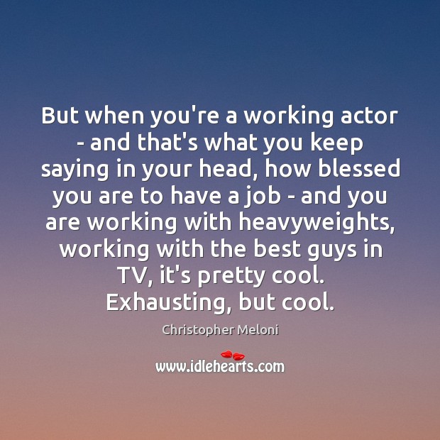 But when you’re a working actor – and that’s what you keep Christopher Meloni Picture Quote