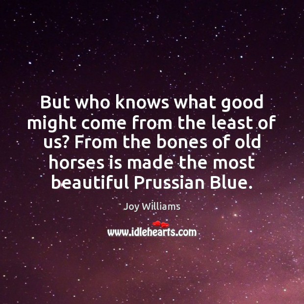 But who knows what good might come from the least of us? Joy Williams Picture Quote