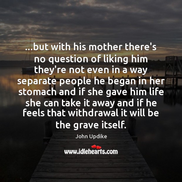 …but with his mother there’s no question of liking him they’re not John Updike Picture Quote