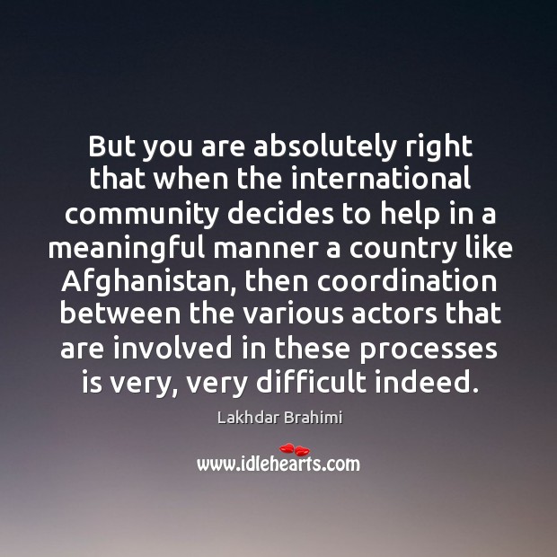 But you are absolutely right that when the international community decides to help in a Lakhdar Brahimi Picture Quote