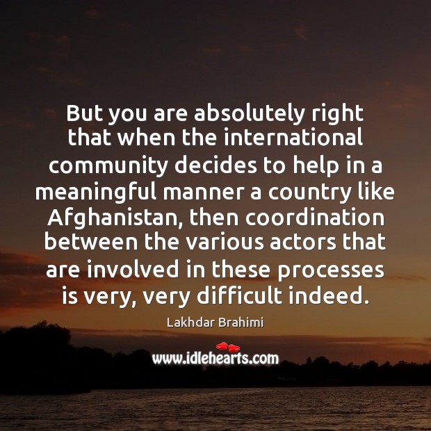 But you are absolutely right that when the international community decides to Lakhdar Brahimi Picture Quote