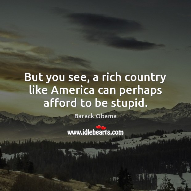 But you see, a rich country like America can perhaps afford to be stupid. Image