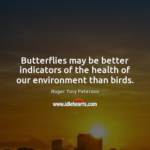 Butterflies may be better indicators of the health of our environment than birds. Environment Quotes Image