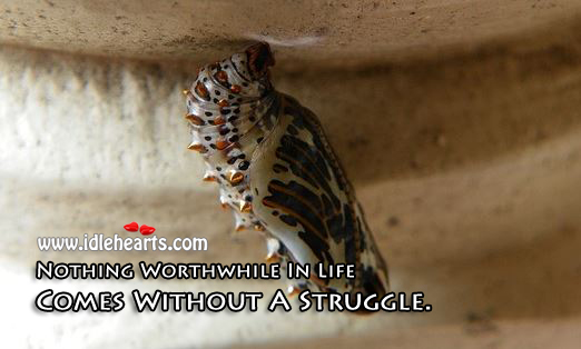 Nothing worthwhile in life comes without a struggle. Motivational Stories Image
