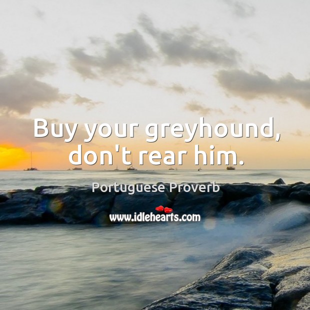 Buy your greyhound, don’t rear him. Image