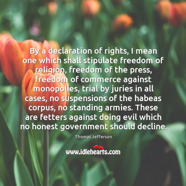 By a declaration of rights, I mean one which shall stipulate freedom Image