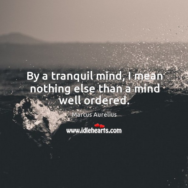 By a tranquil mind, I mean nothing else than a mind well ordered. Image