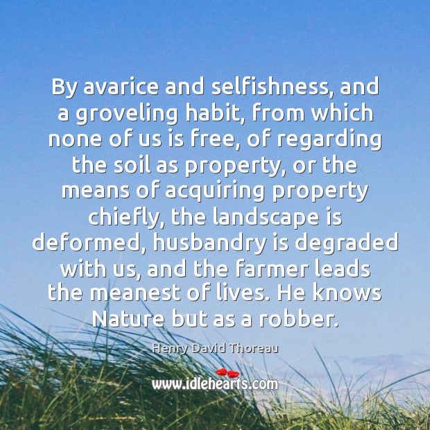 By avarice and selfishness, and a groveling habit, from which none of Henry David Thoreau Picture Quote