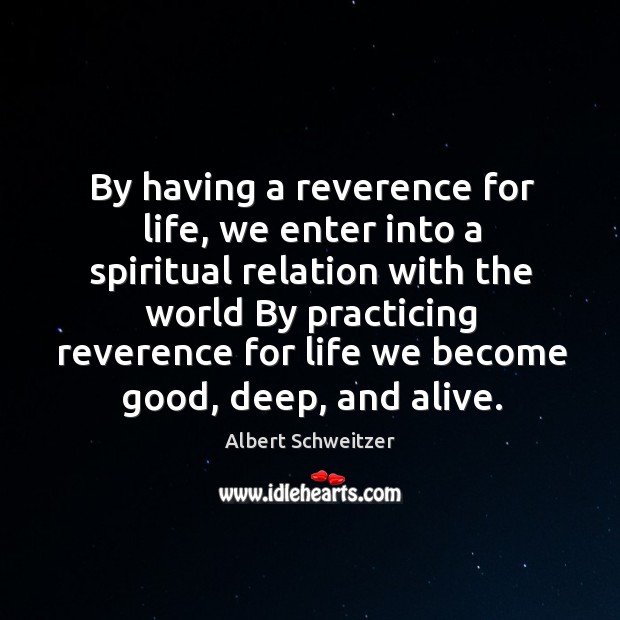 By having a reverence for life, we enter into a spiritual relation with the world by Albert Schweitzer Picture Quote