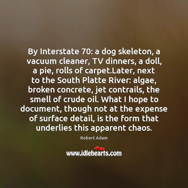 By Interstate 70: a dog skeleton, a vacuum cleaner, TV dinners, a doll, Robert Adam Picture Quote
