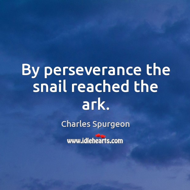 By perseverance the snail reached the ark. Image
