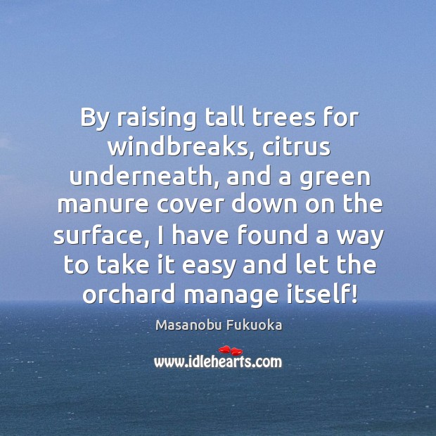 By raising tall trees for windbreaks, citrus underneath, and a green manure Image