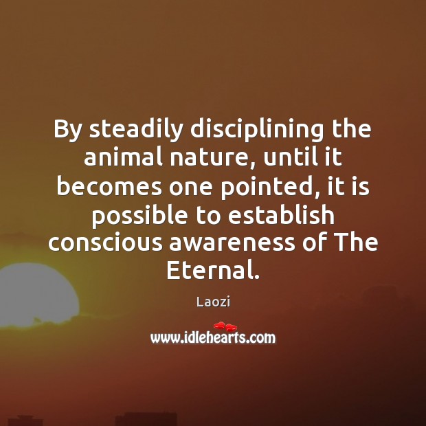 By steadily disciplining the animal nature, until it becomes one pointed, it Laozi Picture Quote