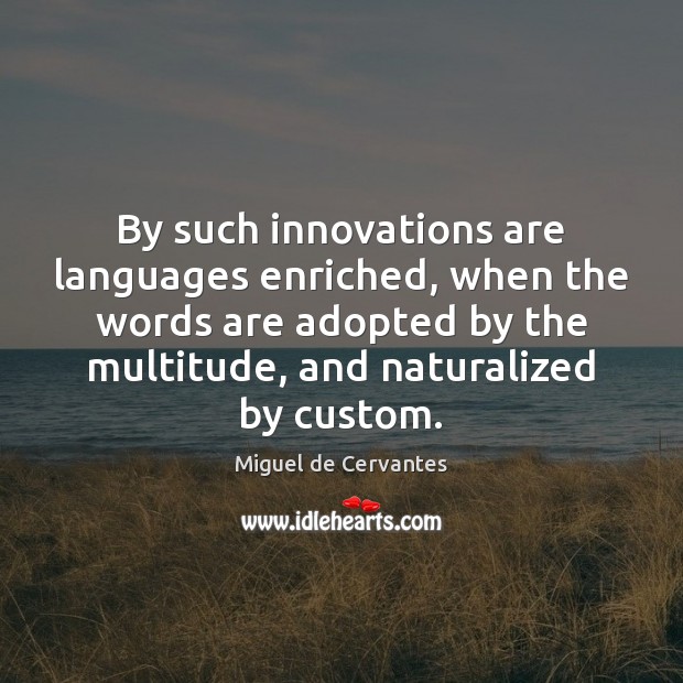 By such innovations are languages enriched, when the words are adopted by Miguel de Cervantes Picture Quote