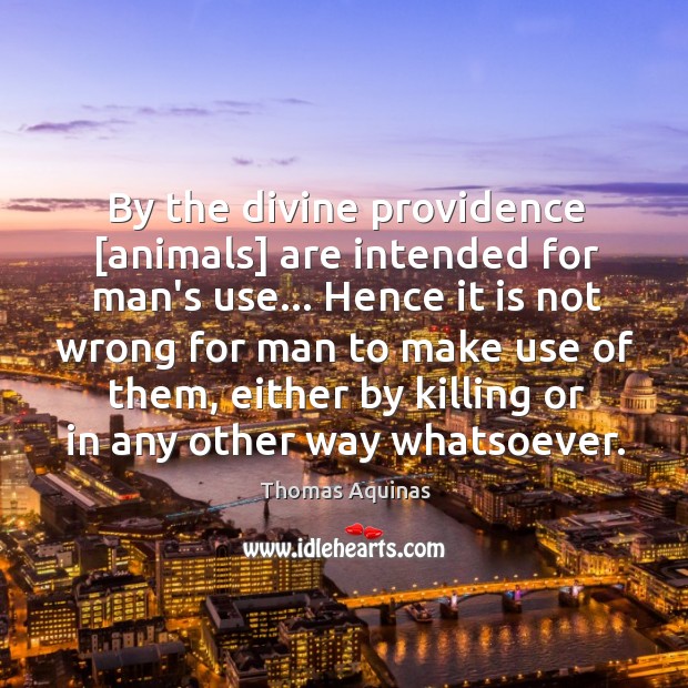 By the divine providence [animals] are intended for man’s use… Hence it Thomas Aquinas Picture Quote
