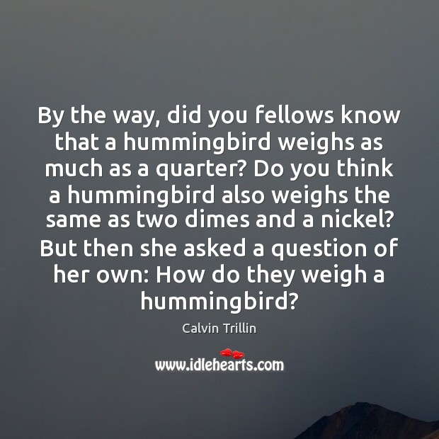 By the way, did you fellows know that a hummingbird weighs as Calvin Trillin Picture Quote