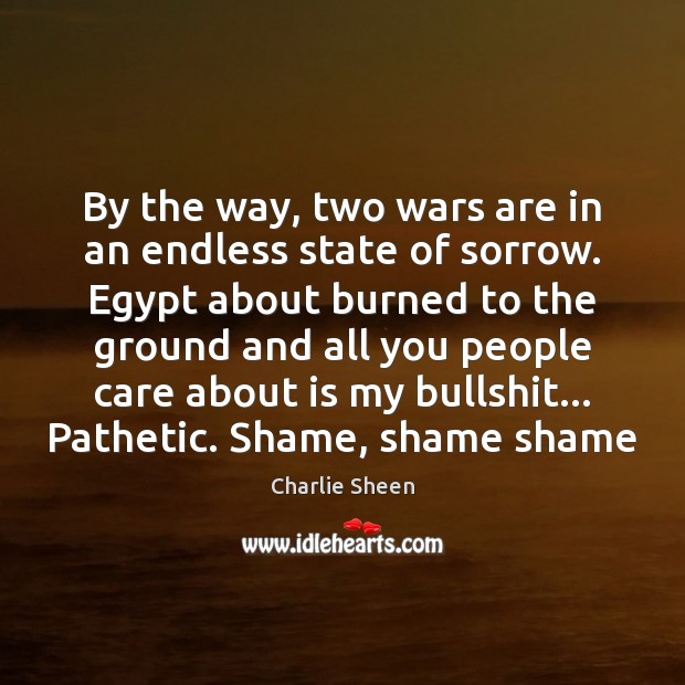 By the way, two wars are in an endless state of sorrow. Charlie Sheen Picture Quote