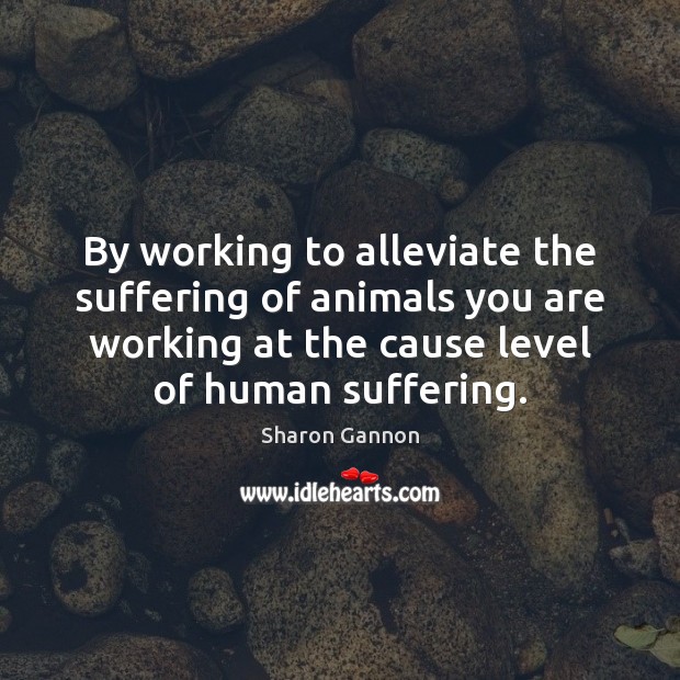 By working to alleviate the suffering of animals you are working at Sharon Gannon Picture Quote