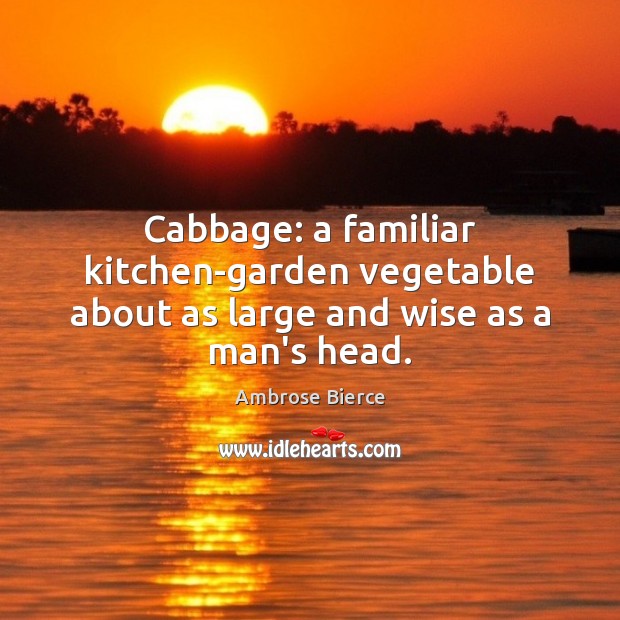 Cabbage: a familiar kitchen-garden vegetable about as large and wise as a man’s head. Wise Quotes Image