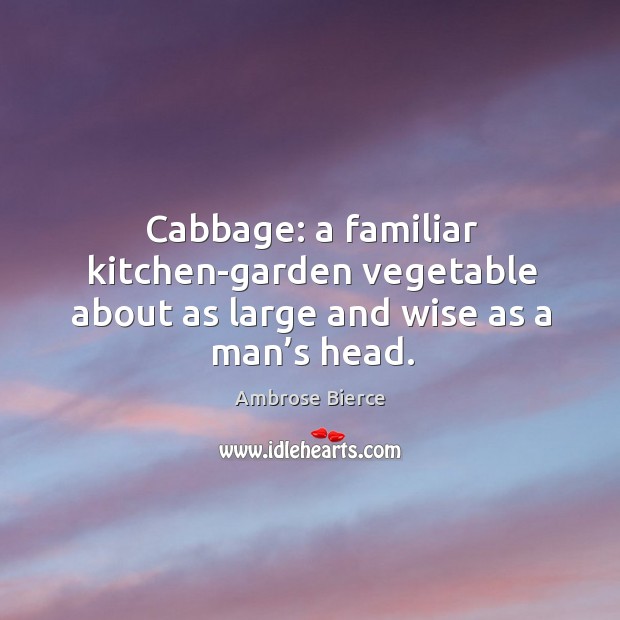 Cabbage: a familiar kitchen-garden vegetable about as large and wise as a man’s head. Ambrose Bierce Picture Quote