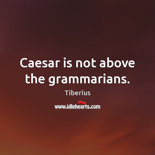 Caesar is not above the grammarians. Tiberius Picture Quote