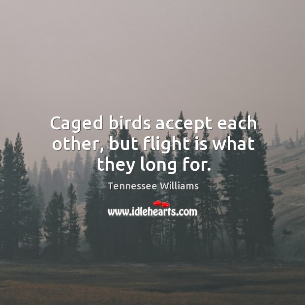 Caged birds accept each other, but flight is what they long for. 