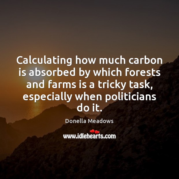 Calculating how much carbon is absorbed by which forests and farms is 