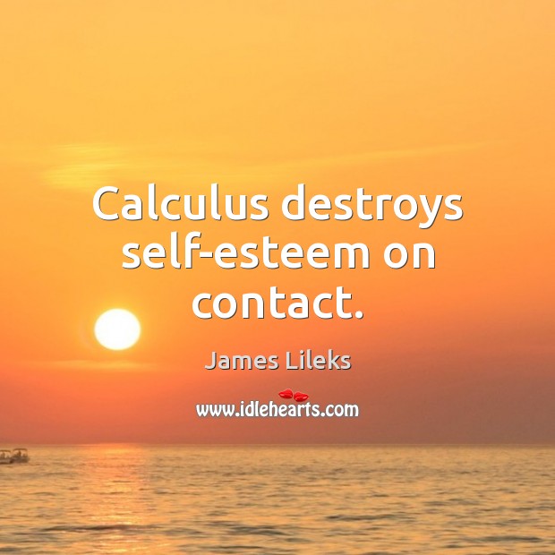 Calculus destroys self-esteem on contact. James Lileks Picture Quote