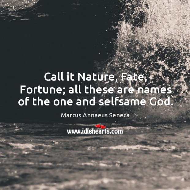 Call it nature, fate, fortune; all these are names of the one and selfsame God. Marcus Annaeus Seneca Picture Quote