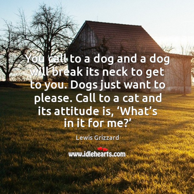Call to a cat and its attitude is, ‘what’s in it for me?’ Lewis Grizzard Picture Quote