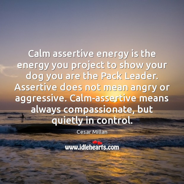 Calm assertive energy is the energy you project to show your dog Image