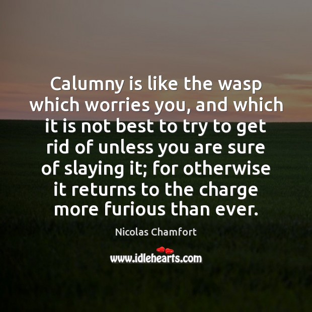 Calumny is like the wasp which worries you, and which it is Nicolas Chamfort Picture Quote