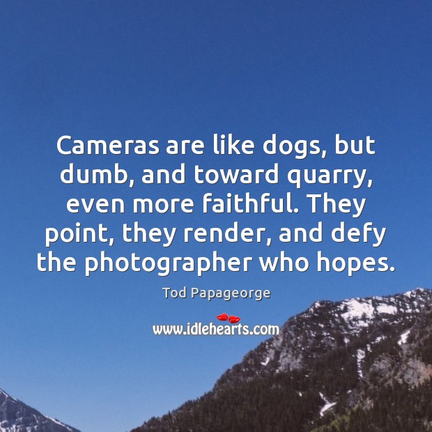 Cameras are like dogs, but dumb, and toward quarry, even more faithful. Image