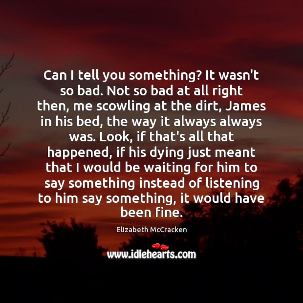 Can I tell you something? It wasn’t so bad. Not so bad Elizabeth McCracken Picture Quote