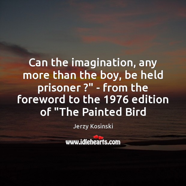 Can the imagination, any more than the boy, be held prisoner ?” – Jerzy Kosinski Picture Quote