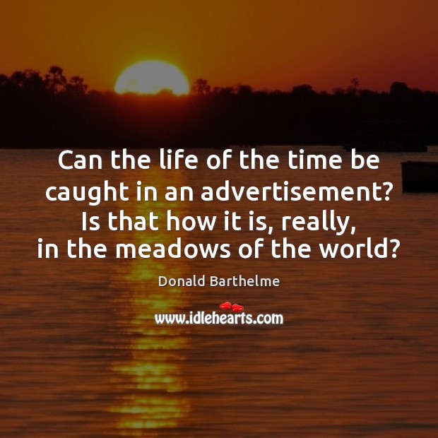 Can the life of the time be caught in an advertisement? Is Donald Barthelme Picture Quote