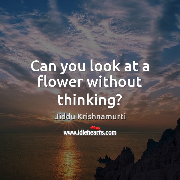 Can you look at a flower without thinking? Jiddu Krishnamurti Picture Quote