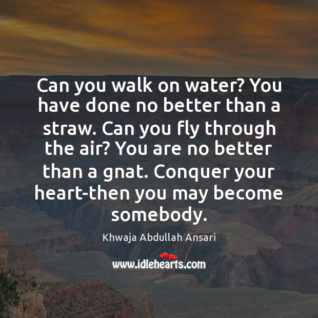 Can you walk on water? You have done no better than a Khwaja Abdullah Ansari Picture Quote