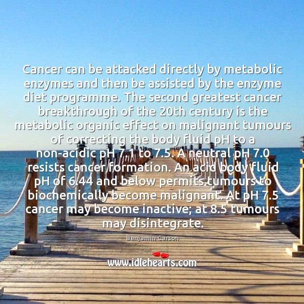 Cancer can be attacked directly by metabolic enzymes and then be assisted Image