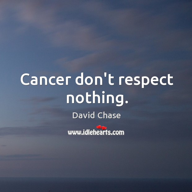 Cancer don’t respect nothing. David Chase Picture Quote