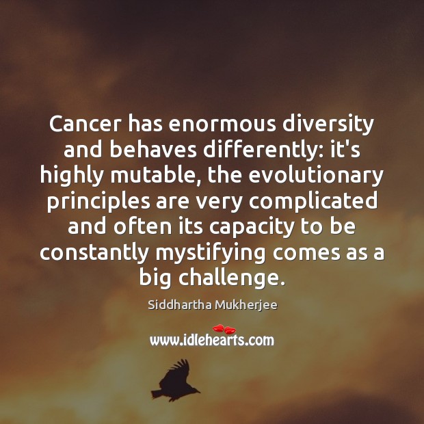 Cancer has enormous diversity and behaves differently: it’s highly mutable, the evolutionary Challenge Quotes Image