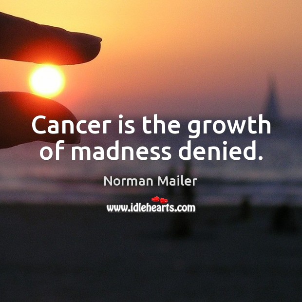 Cancer is the growth of madness denied. Norman Mailer Picture Quote