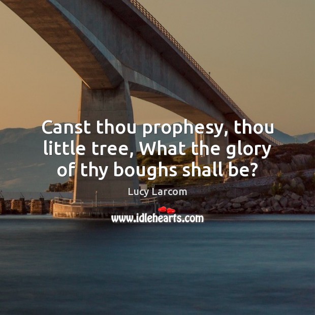 Canst thou prophesy, thou little tree, What the glory of thy boughs shall be? Lucy Larcom Picture Quote